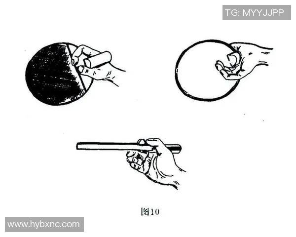 从零基础到羽毛球高手的全面提升指南与实用技巧分享
