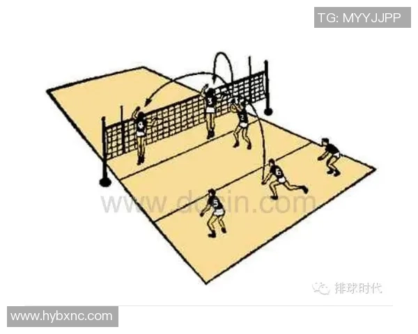 深入探讨上海排球队的战术配合与团队协作的关键因素分析